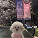 방화근린공원 관리사무소 이미지