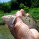 하늘내린강산 이미지