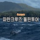 파란 | 괌 돌핀투어 업체 추천 괌 파란크루즈 내돈내산 후기