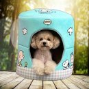 하우스독 이미지