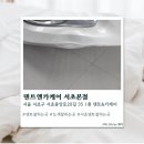 덴트앤카케어 | [서초] 서초덴트 덴트앤카케어 서초본점 솔직후기