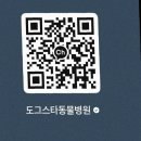 도그스타 | 수원 동물병원 찾는다면?! 믿고 가는 도그스타 동물병원 후기