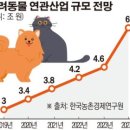 하나애견 이미지