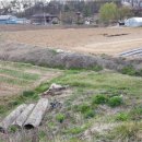 부발목장 이미지