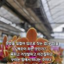 무엇을 일컬어 입으로 짓는 업[구업]을 깨끗이 하는 것인가? 이미지