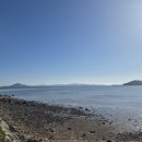 장흥군안양면수문보건진료소 | 조선수군재건길 도보답사 12 / 2025. 11. 14.(금) / 보성 대한다원에서 장흥 사금마을까지