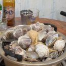 수상한 집주인(평일) 이미지