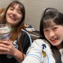 개이뿌개 이미지