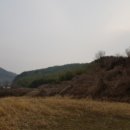 곡성-162 네이버블로그