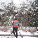 경기시민정원사협동조합 이미지
