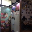 창녕대로 이미지