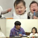 인생낙지 이미지