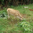 태일농장 이미지