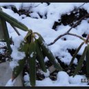 덕분농장 이미지