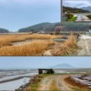 득량만 부근 네이버블로그