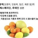 오색채 이미지