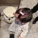 호호상점 이미지