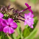 입곡문화공원 이미지