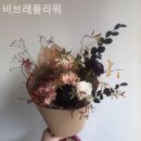 비브레 네이버블로그