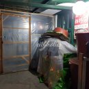 금자네해장국 | 춘천 해장국 맛집 금자네 우거지 갈비탕 후기