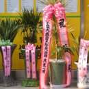 성광공인중개사사무소 이미지