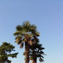 (주)나눔터 Daum카페
