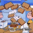 델픽제주스톤하우스