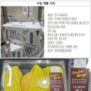 주식회사 의연 이미지