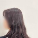 노트헤어