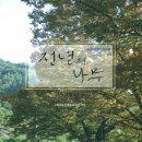 죽곡면 고치리 마을회관 | 분칠도 감춤도 없는 죽곡마을이야기...천년의 나무