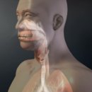 초음한의원 | 만성 비염 한의원 정말 괜찮은 곳 다녀왔어요