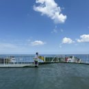 통운카 | 제주도 배편 아리온 [녹동-제주항] 내 차로 떠나는 여유로운 제주여행