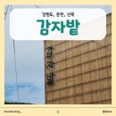 [공지] 춘천 감자밭 감자빵 내돈내산 한박스 후기 (feat. 감자빵플)
