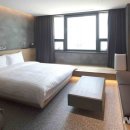 펫 유토피아 이미지