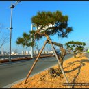 혁신도시 진입로 이미지