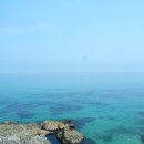 7번국도 이미지