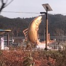 블루시티민박