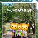 (주)더이룸 이미지