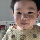 기장효사랑 | 앳 부산 코브 / 아난티 빌라쥬 드 / 부산 아난티 근처 가성비 숙소 부산 기장 오데이즈 오시리아 레지던스