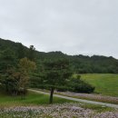 메밀꽃필무렵 이미지