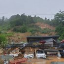 숲사랑어린이집 이미지