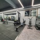 베리 핏 피티 이미지