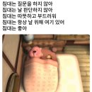 25-03) 3월에는 무슨 일이 있었을까? 쉽지않다, 간호학과