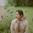 보색의연정필름 이미지
