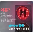 법무법인영동