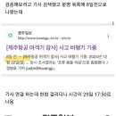 무안공항 사고 일어나기 일주일 전에 기사올라온거 봄? 이미지