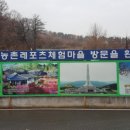 오골계마을 이미지