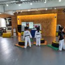 용인대체육관(태권도) 이미지