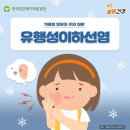 우미사 이미지