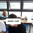 토&토쟁이